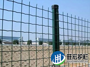 荷蘭網(wǎng)、牛欄網(wǎng)